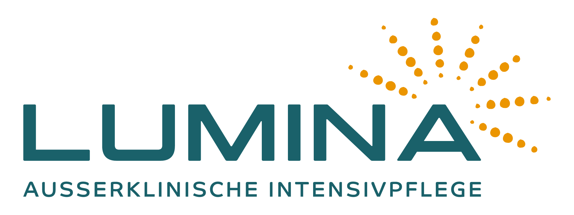 Lumina AKI Holzer